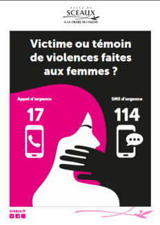 Sambre: une analyse édifiante des violences faites aux femmes